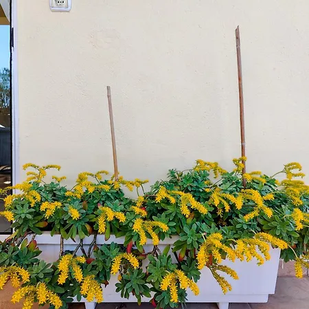 Apartmán Celestial Garden-thessaloniki's Modern, Eclectic Penthouse-ideal For Remote Work And Longer