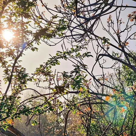 Celestial Garden-thessaloniki's Modern, Eclectic Penthouse-ideal For Remote Work And Longer Apartmán *