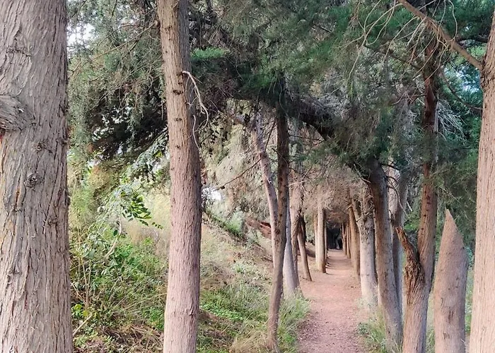 Celestial Garden-thessaloniki's Modern, Eclectic Penthouse-ideal For Remote Work And Longer 公寓