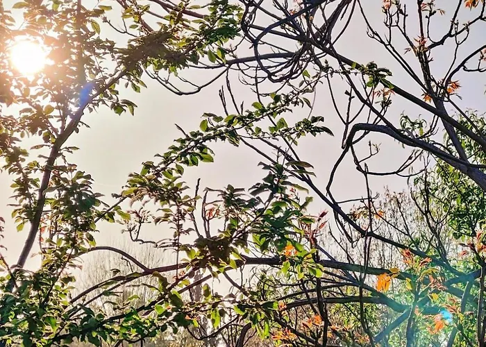 Celestial Garden-thessaloniki's Modern, Eclectic Penthouse-ideal For Remote Work And Longer 公寓 *