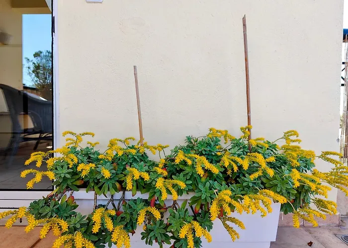 Apartamento Celestial Garden-thessaloniki's Modern, Eclectic Penthouse-ideal For Remote Work And Longer